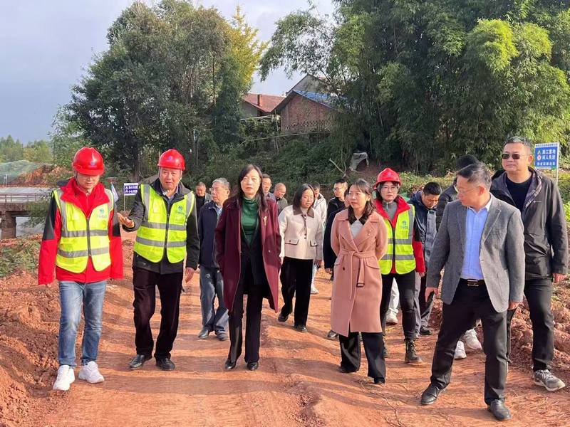水利廳赴樂至縣小陽(yáng)化河童家鎮(zhèn)陳家祠段防洪治理工程調(diào)研指導(dǎo)工作